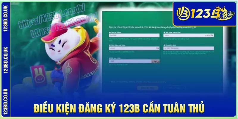 dieu-kien-dang-ky-123b-bat-buoc-phai-tuan-thu