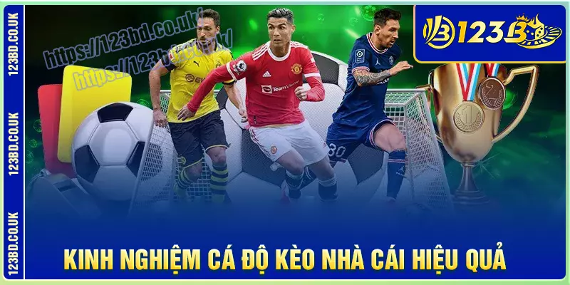 Kinh nghiệm chơi cá độ kèo nhà cái hiệu quả